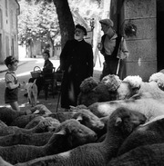 Robert Doisneau (1912 - 1994)