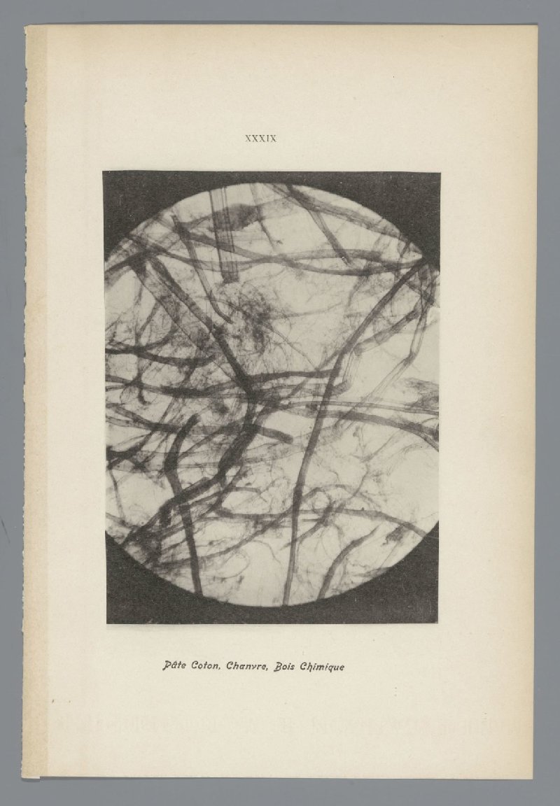 Microfoto’s van papiervezels
